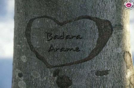 vive les amoureux