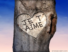 je t aime